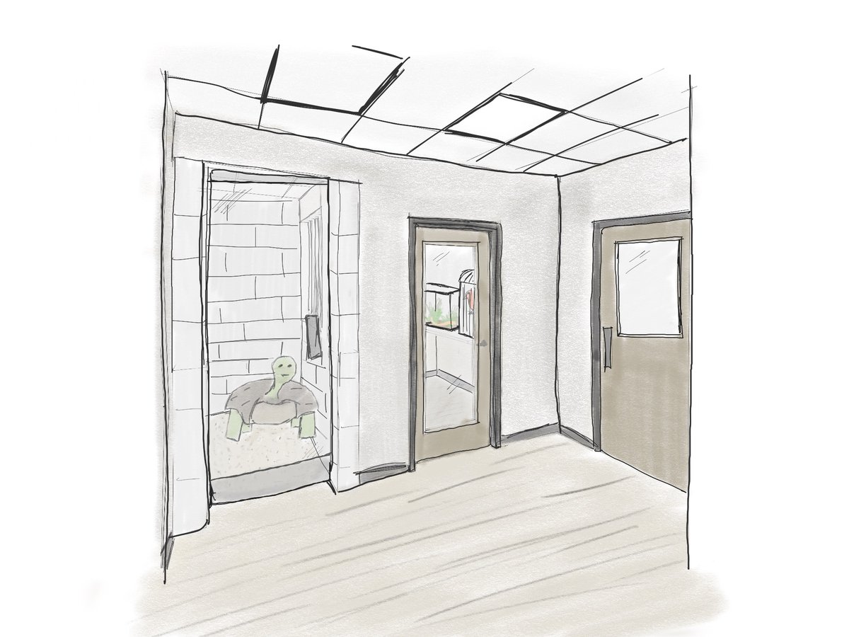APEXDB's tweet image. Did you know that Sulcata Tortoises 🐢 can ram through drywall?? We had an unexpected design challenge, and our talented Designer, Moriah, was up for the job! Check out the turtle run she has sketched up!
#apex #designbuild #veterinarydesign #veterinary #exoticpets #vetlife
