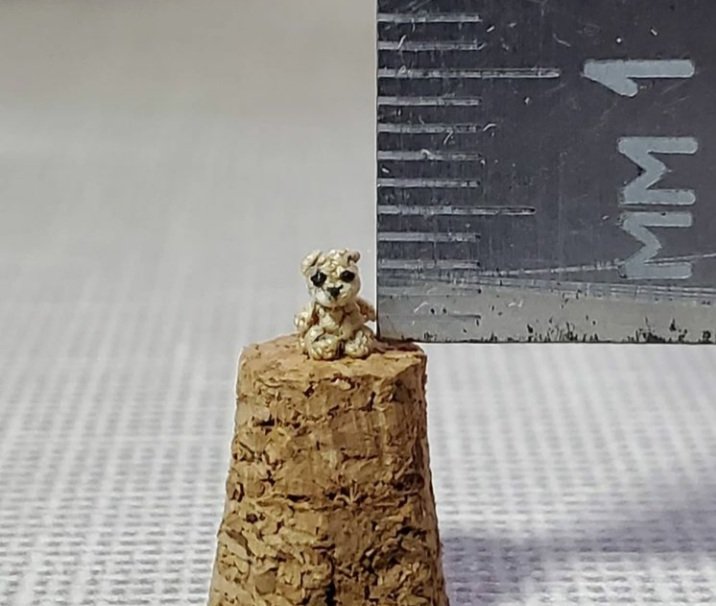 MicroToys1's tweet photo. 📏three millimeters📏baby bear🐻
#MicroToys #bear #micro #baby https://t.co/f6sVygfrmY