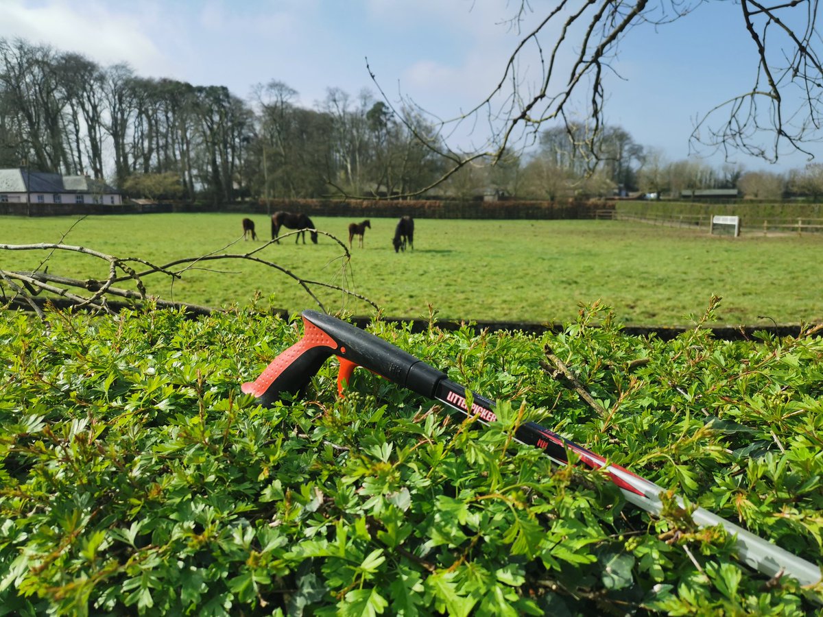 Lovely day here for the annua TLC Clean-Up, missing the tea and the hot cross buns afterwards. Looking forward to a more  normal TLC7🇳🇬☕🍪#TLC6