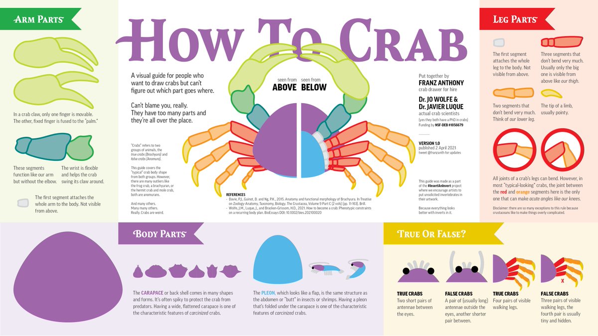 Hello, artist. Nice art you have there.You know what would make it better? Crabs.But crabs are hard to draw, you say. I agree.That's why I teamed up with  @jopabinia &  @JaviPaleobio to make this cheat sheet so you too, can  #InsertAnInvert into your artwork with confidence.