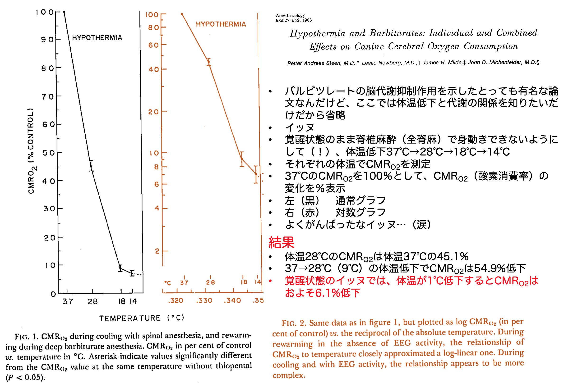 低体温ページ 01-20250113-21434100.jpg