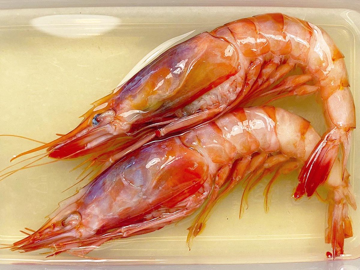 Y de repente... ¡BOOOM! 💣 

✔️ Gᗩᗰᗷᗩ ᖇOᒍᗩ ᑕᑌᖇᗩᗪᗩ Eᑎ ᐯIᑎᗩGᖇE ᗪE ᗩᖇᖇOᘔ.

#SentirJaén
#MichelinStar
#GuíaRepsol