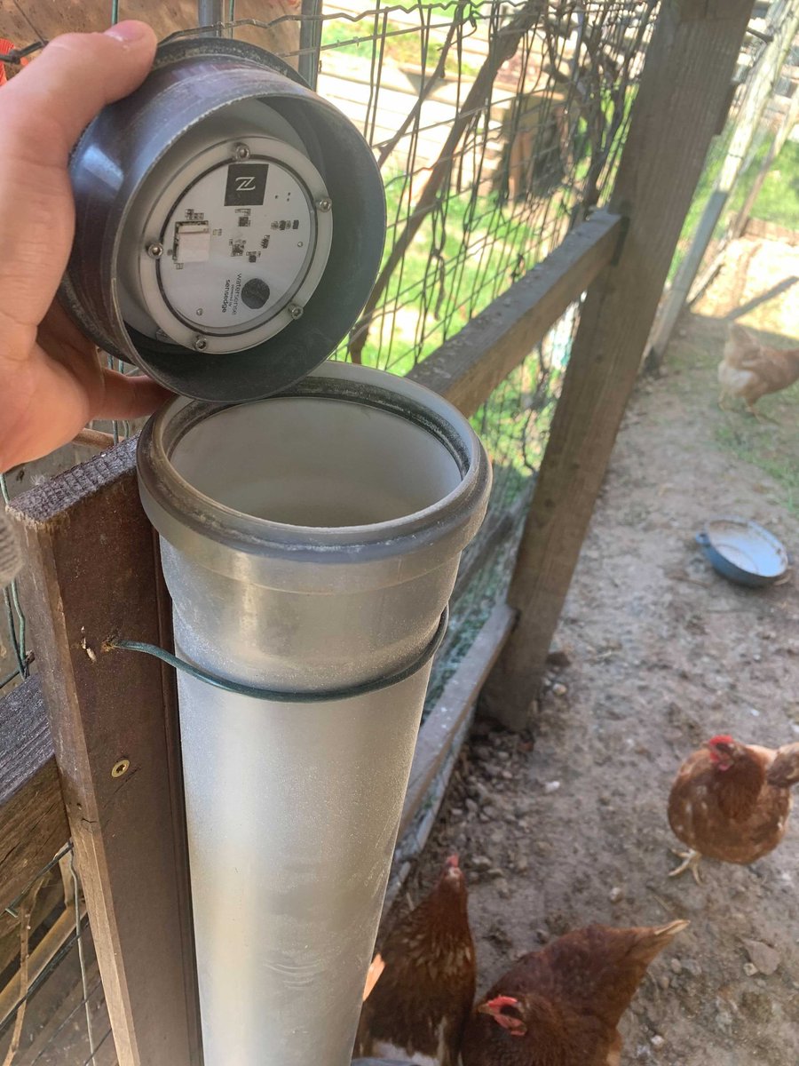 senzemo_company's tweet photo. Senspuck helps to increase 🥚🥚🥚 yield. Happy Easter! 🐣🐤🐔

#agrisense #agritech #agriculture #chickens #egg #easter #happyeaster #sensor #lorawan #farm #chickenfarm #yield https://t.co/s9B7PQjC7e