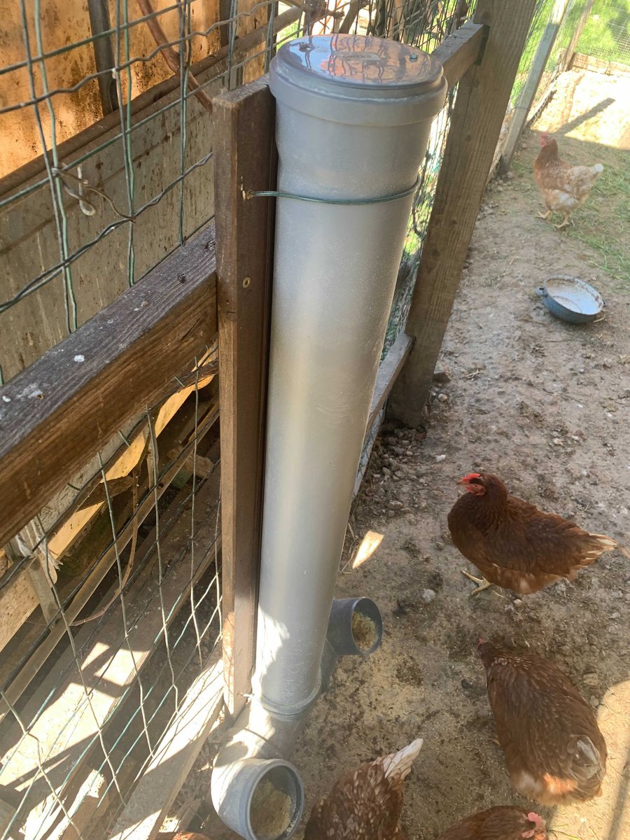 senzemo_company's tweet photo. Senspuck helps to increase 🥚🥚🥚 yield. Happy Easter! 🐣🐤🐔

#agrisense #agritech #agriculture #chickens #egg #easter #happyeaster #sensor #lorawan #farm #chickenfarm #yield https://t.co/s9B7PQjC7e