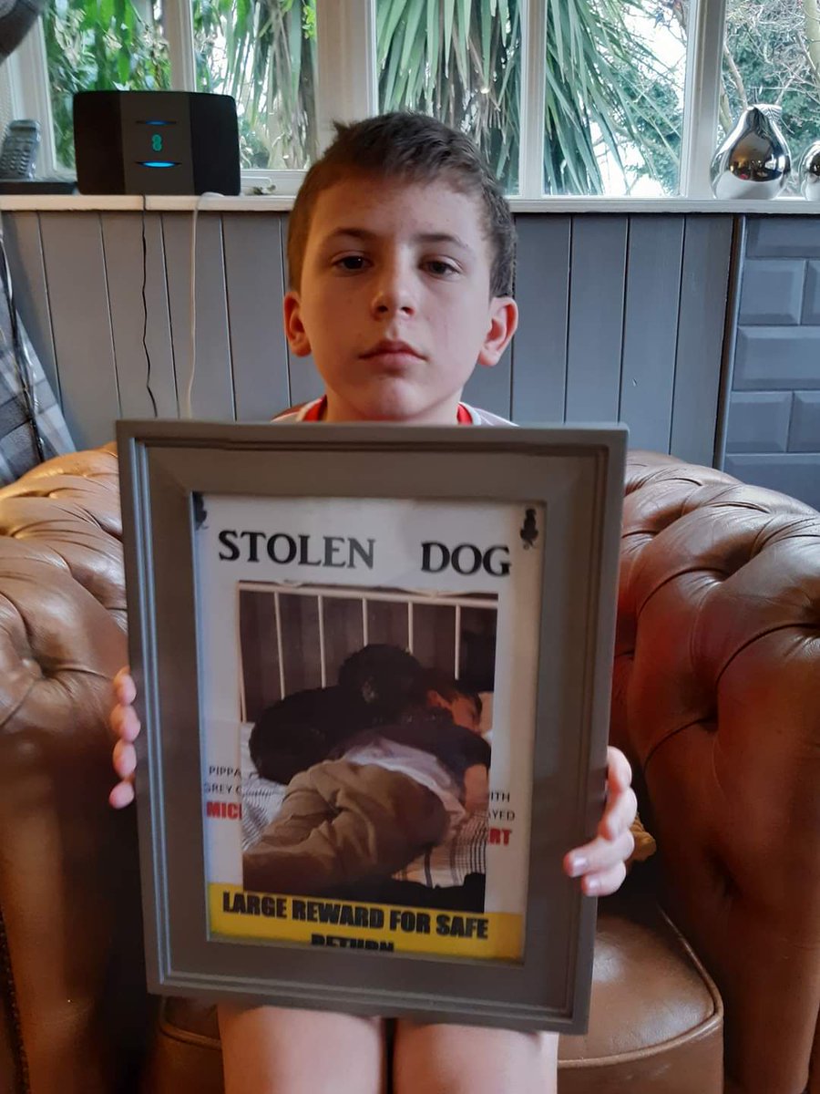 beautys_legacy's tweet photo. Autism therapy dog Pippa is still missing, Stolen from Newark Notts NG24 five months ago. Luke is distraught without his little friend. He is suffering from a broken collar bone and missing her now more than ever
07866026343
Large Reward
#findpippa #WorldAutismAwarenessDay https://t.co/hEfaRwf96i