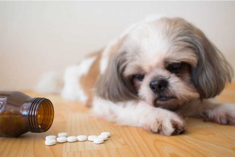 #Veterinarydrugs are used to cure and prevent diseases in animals, including animals used for food production.

#Submit your #Articles to  Veterinary Sciences and Medicine

#for more: sciaeon.org/veterinary-sci…