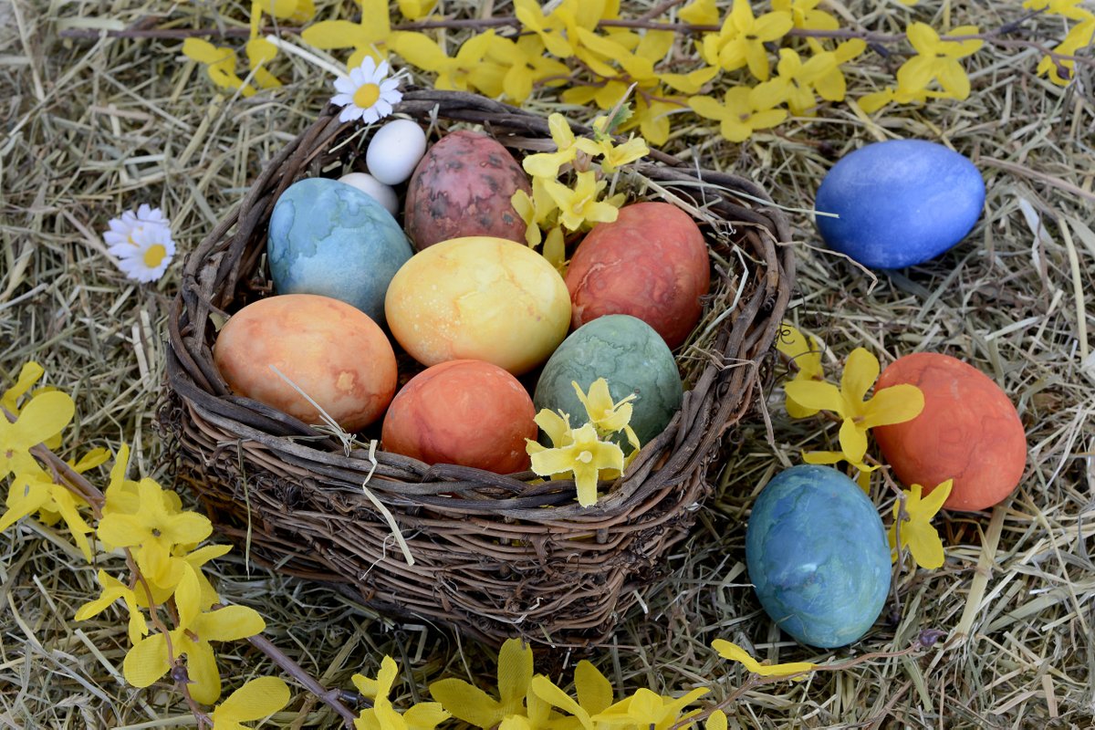 EyeCareFirst's tweet photo. Happy Easter! Just a reminder that we are closed April 2 to the 5, 2021 for the holiday! We will resume normal business hours 
April 6, 2021. Enjoy the long weekend! https://t.co/slQR2wVxDs