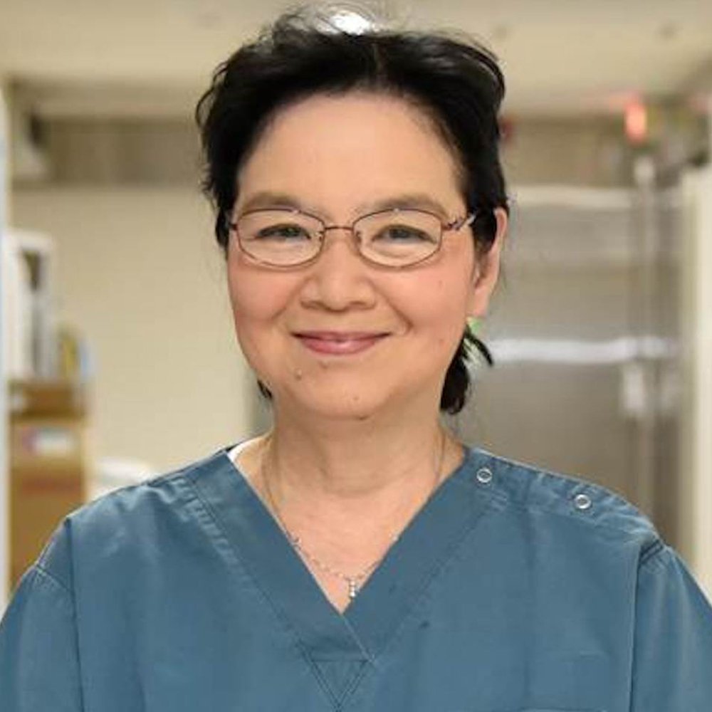 #NeurosurgicalFocus Yoko Kato: the silent warrior of neurosurgery

thejns.org/focus/view/jou…