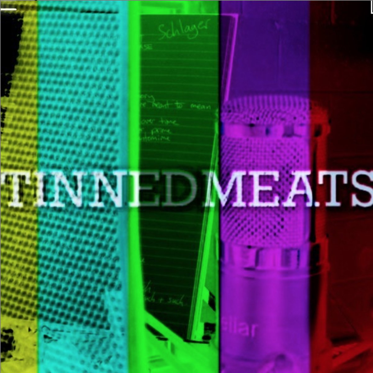 Tinned Meats on Twitter "We have been recording our first single
