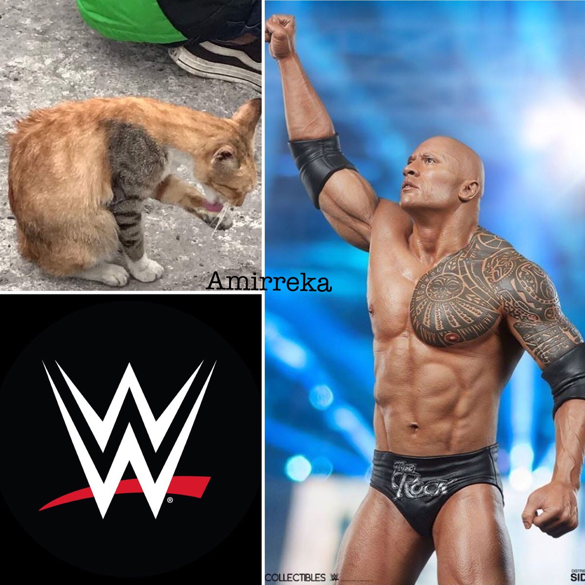 amirazmiRL's tweet photo. If u smell what the rock is kucing

#GurauGurau
#KebetulanHampirSama https://t.co/PddH7yDqY3