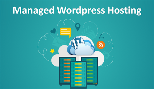 hostandprotect's tweet photo. Are you a #WordPress_beginner who is wondering if managed WordPress web hosting can be a lucrative option? 

This answer to this question you will get in this article.😀😀

https://t.co/vL9HhZgEMl
You can use this Learning to decide the best #WordPress_hosting_company you need. https://t.co/iCPYGyTyHX
