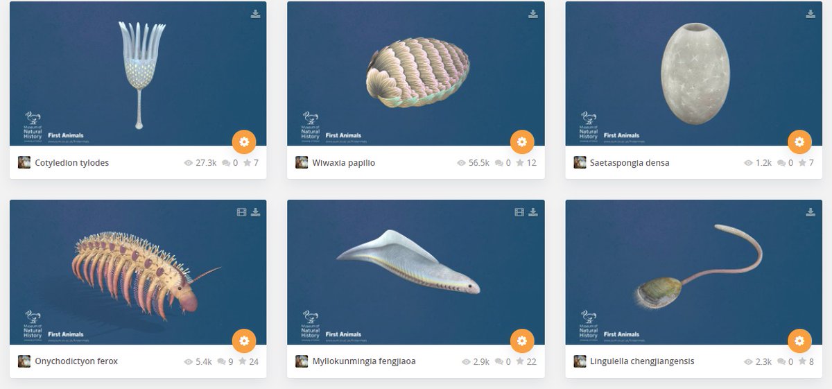 morethanadodo's tweet photo. @Madonna You can see the #FirstAnimals critters come to life in our model collection on @sketchfab too: https://t.co/M4FuNhMDwM https://t.co/qCgueOn6Iz