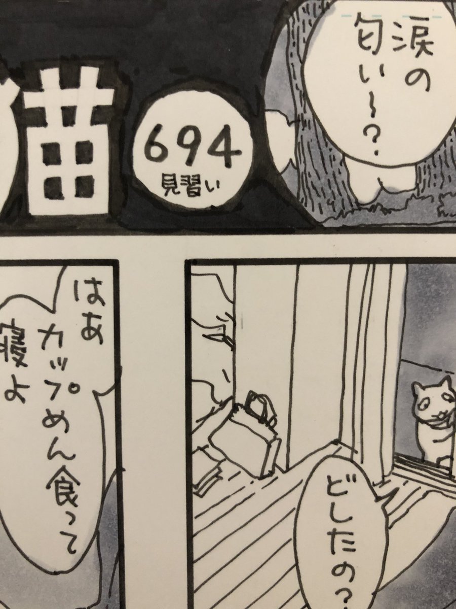 「見習い」です
書き忘れました
#夜廻り猫 