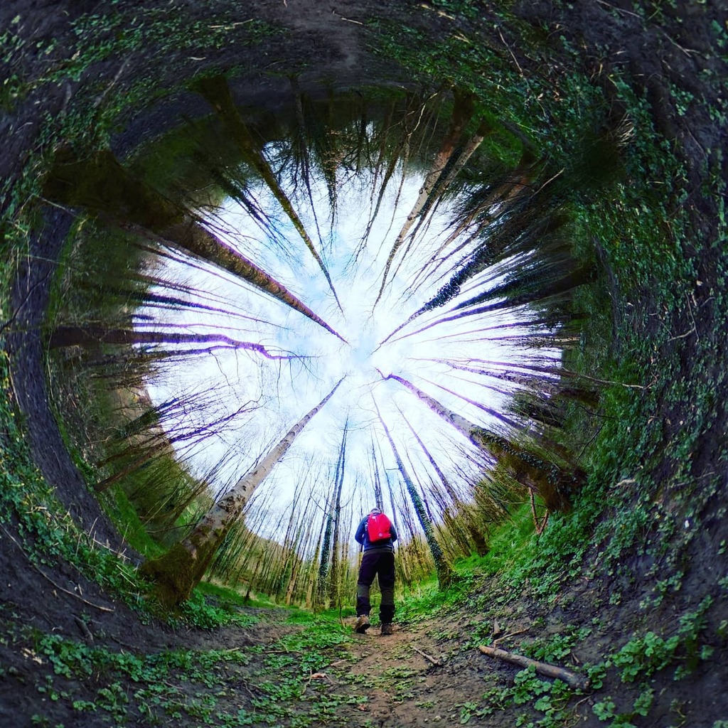 Started #easterweekend with a lovely 6 miles following the river through the woods.

#walk1000miles #walk1000miles2021 #walkingchallenge #walkingadventures #walking #walkinguk #goodfriday #easterwalk #theta360 #tinyplanet #hiking #forestwalks #forestphotography …