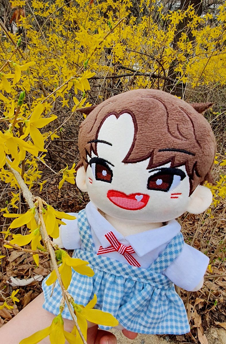 은빛매력 tweet media