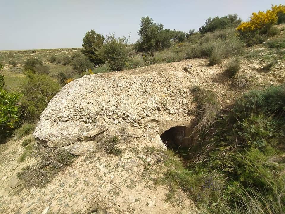 GRIEGC1's tweet photo. Nido de ametralladoras ubicado en el sector republicano de la Cabeza de Puente de Seròs (Lleida)
#guerracivil #guerracivilespañola #guerracivilespanyola #bunkers #fortificación #historia #history #spanishcivilwar #seros #lleida #frontdelsegre #memoriahistórica https://t.co/0fuL5fXsIf