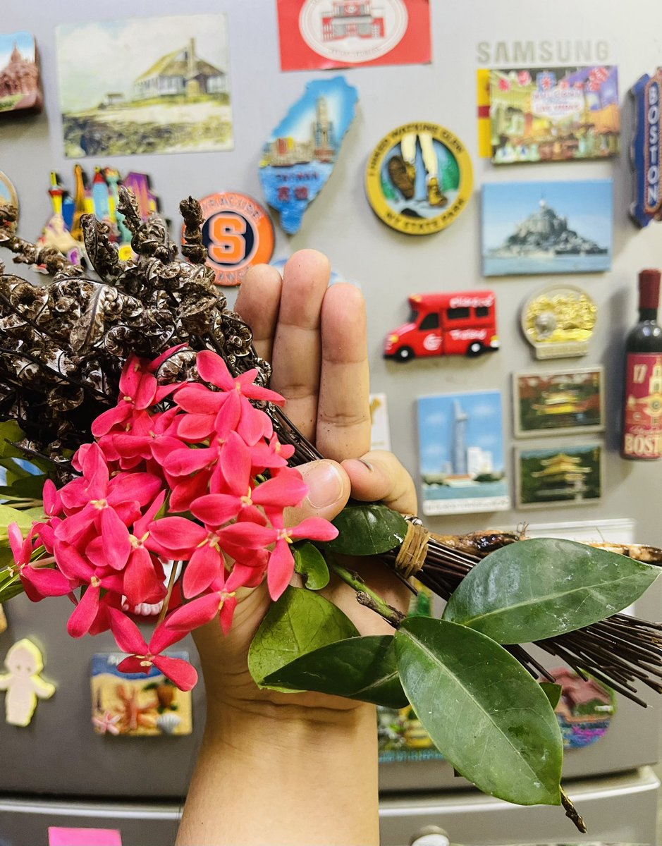 thetmonkhin's tweet photo. 🌺Flower Strike for Our Fallen Heroes #FlowerStrikeMyanmar 
#WhatsHappeningInMyanmar 
#Apr2Coup https://t.co/zGCRPsGXO5