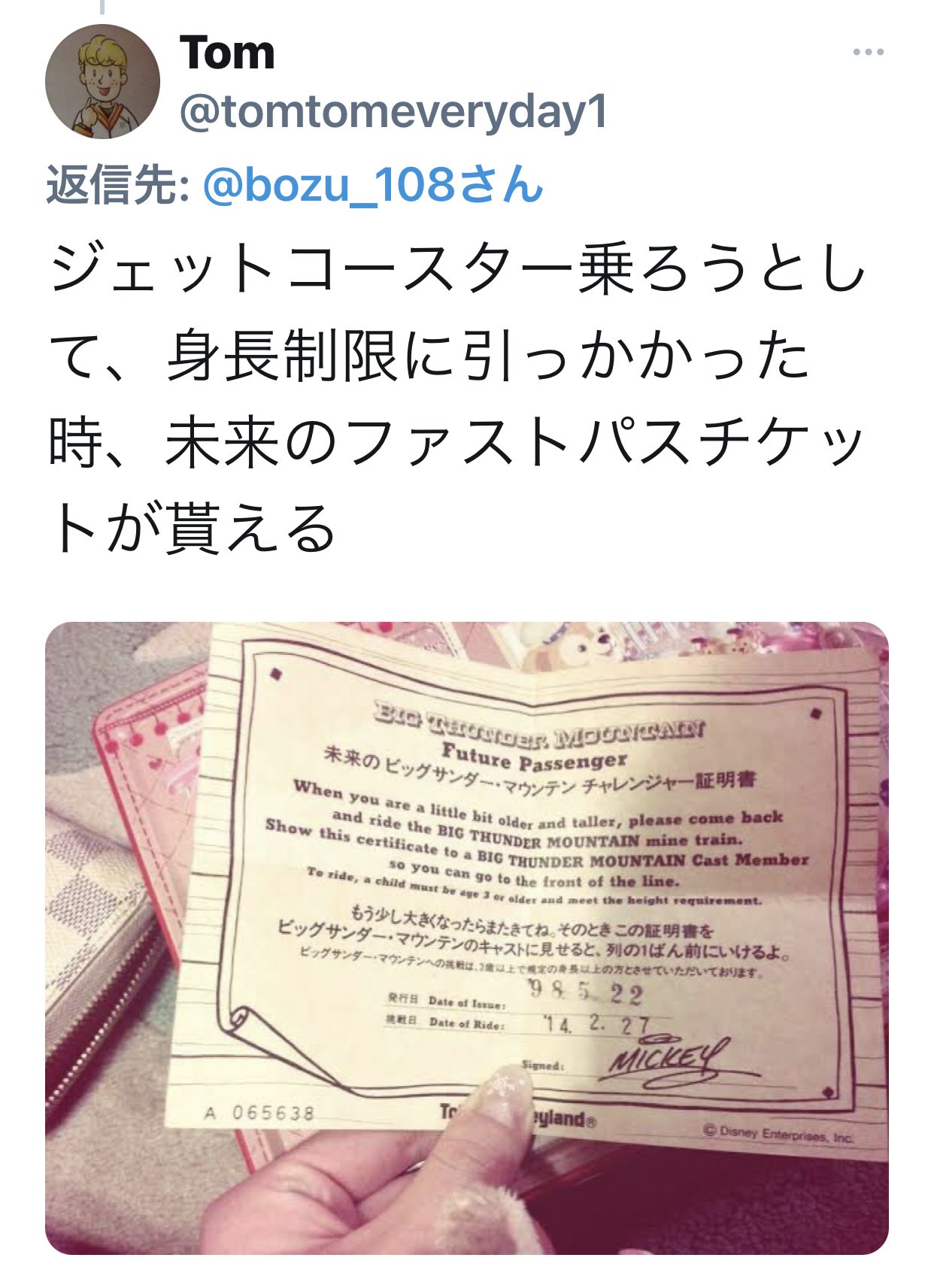 Uzivatel 坊主 Na Twitteru 誰も知らないであろうディズニーランドに関する豆知識選手権 最優秀賞 ジェットコースター乗ろうとして 身長制限に引っかかった時 未来のファストパスチケットが貰える 今はもう無い T Co Cedkabzjyk Twitter