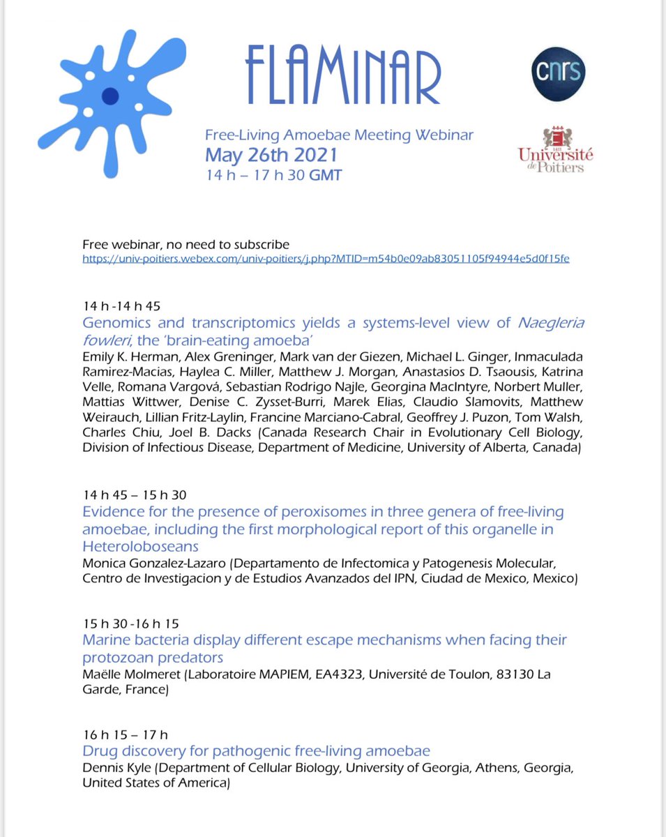 ProtistologyUK's tweet photo. #FLAMINAR announcement on behalf of Yann Hechard, Univ of Poitiers: due to COVID, FLAM has been postponed but please join in the fabulous webinar on May 26th at 3pm UK BST. https://t.co/Kpi6tTIUy1. #AMOEBAE #protists https://t.co/GyTDHcvpSv