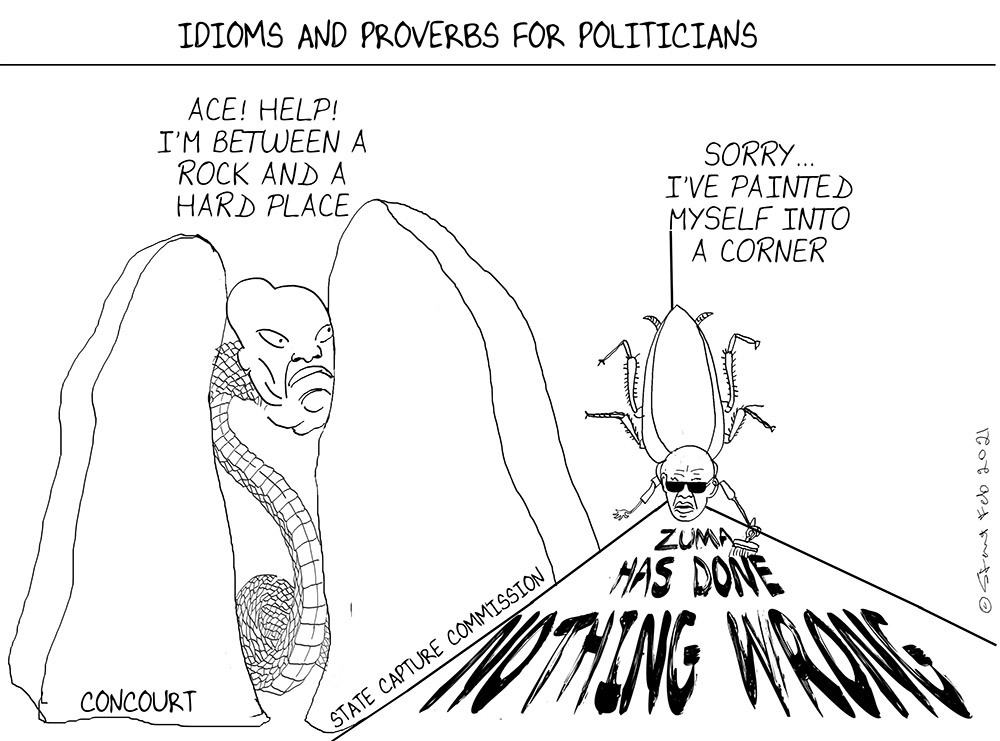 Noseweek Magazine tweet media