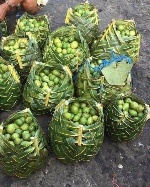PriyankaWandhe's tweet photo. Why one needs artificial packing materials when #nature is packed with all that we need...!!!
#recycle #reuse #banonplastic
#repurpose #eliminatesingleuseplastic
#plasticfree https://t.co/CMWln7O4HX
