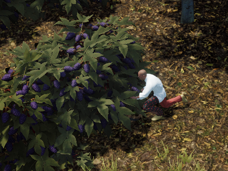 In our latest blog post, we take a closer look at our approach behind Gathering &amp; Resources 🍓🫐 #KingdomsofElyria chroniclesofelyria.com/blog/35007/A-C…