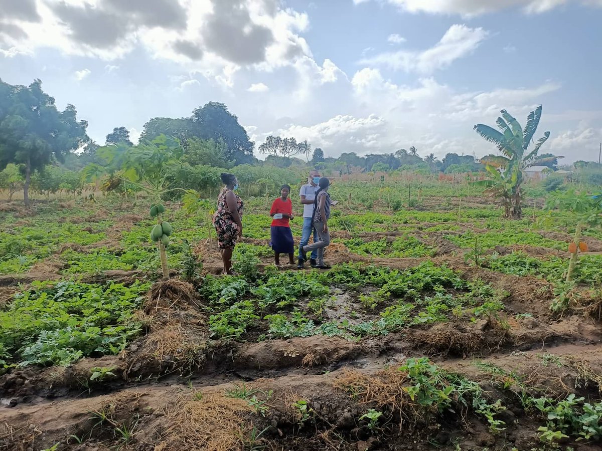ManyattaYouth_m's tweet photo. #SavetProgram
#ShrinkingVEspaces
Hekima self-help group is one of the beneficiaries under the SAVET Program. The group has registered transformation and growth that needs to be celebrated. They are the long-awaited change that young people need to learn from. https://t.co/dS4tVngFtI
