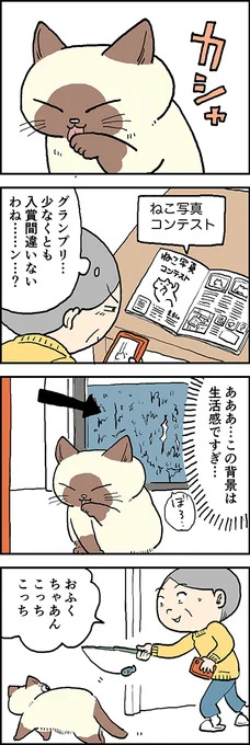 どうしてそこに!?
かわいいおふくちゃんを写真におさめたいおばあちゃん?
おふくちゃんはかわいいのに……

第110話「シャッターチャンス」はこちらから⇒(https://t.co/iWOIQxWmdZ )
『猫のおふくちゃん』の最新話は毎週金曜日に連載中!

#猫のおふくちゃん 
