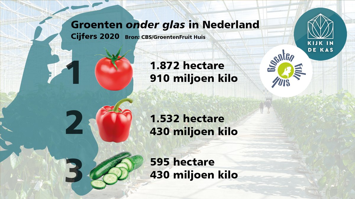 GFHuis tweet media