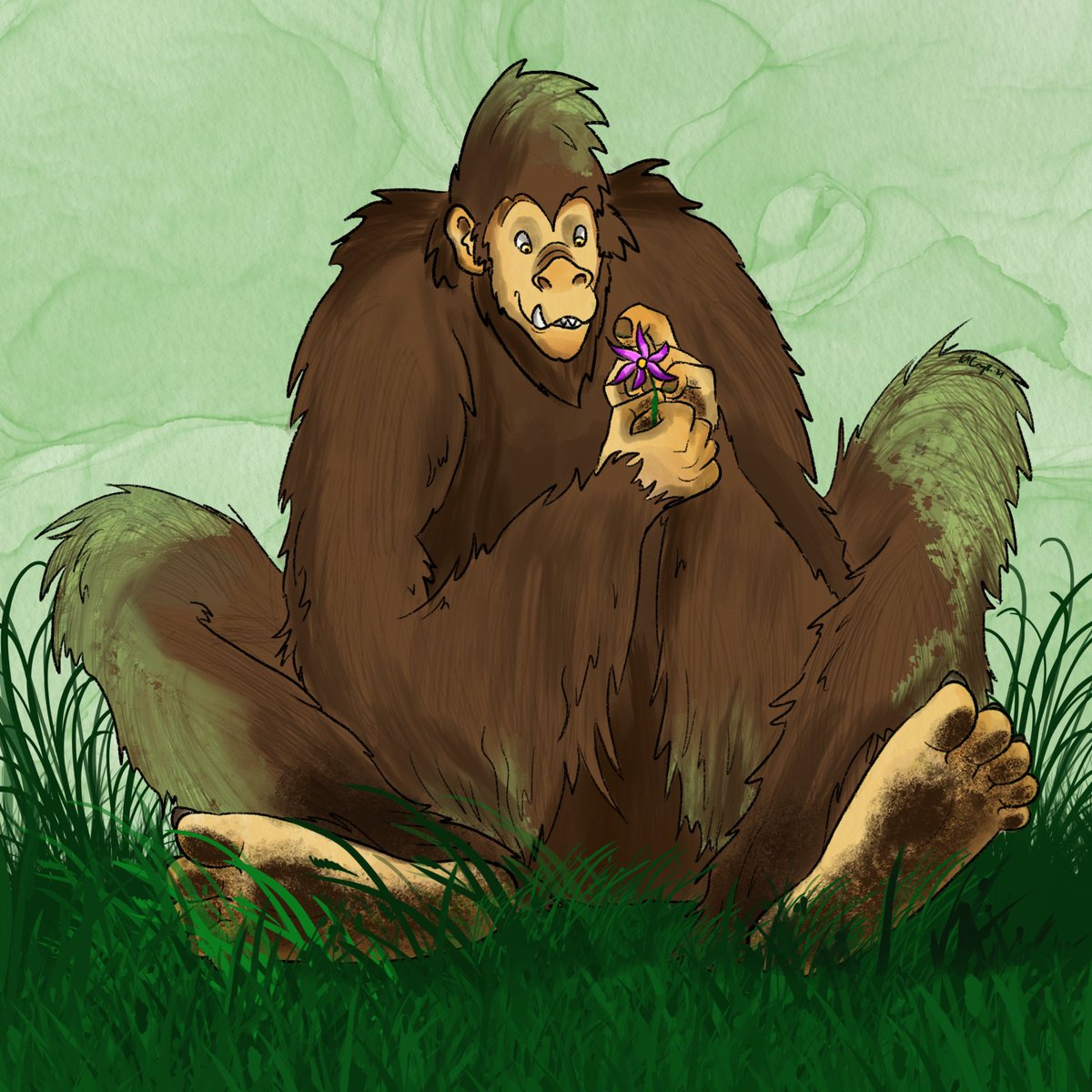 LizTheFrizzzz's tweet photo. B is for Bigfoot!
Also known as the Sasquatch, this bipedal ape-like cryptids roams the forests of the West Coast of America.
Artwork (c) Lizzie Cavanagh
#cryptidsofnorthamerica #bigfoot #sasquatch #illustration #digitalart #procreate #alphabetofcryptids #cryptidalphabet https://t.co/YBV1TH93Tj