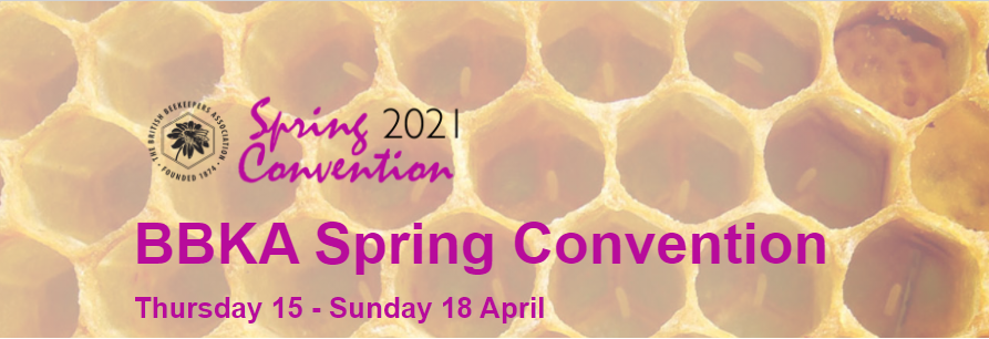 BBKASCChair's tweet photo. Registration for #BBKASC2021 15-18 April NOW OPEN. See https://t.co/zXG5IekXAH to view the Timetable, details of Presentations and Speakers, the Market Place and More Social elements. Register now and look forward to a great 'virtual' weekend for all! @britishbee @BbkaBee #bees https://t.co/YYwNd1m79g