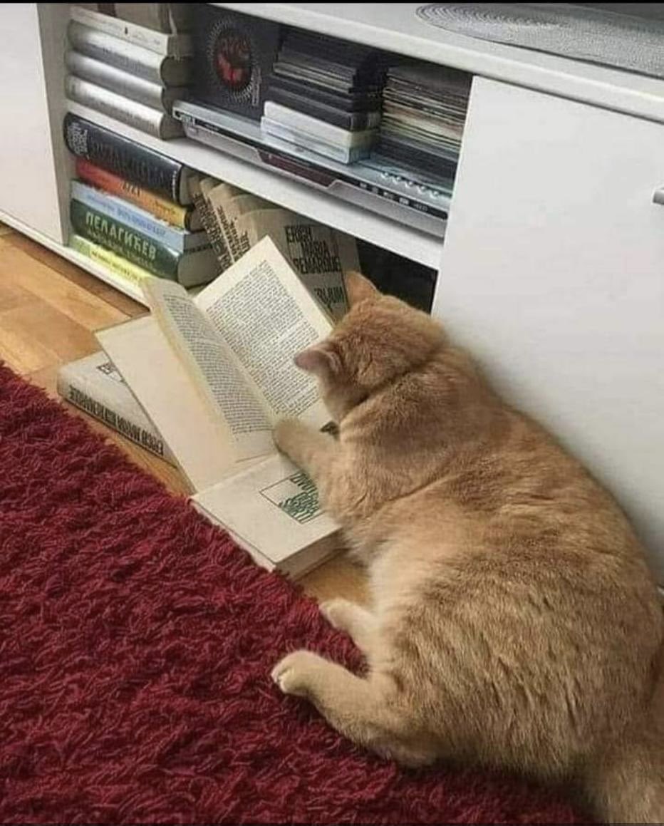 dineshdasa1's tweet photo. .....even this creature understands the importance of reading....!!! https://t.co/5j1lLcw7vM