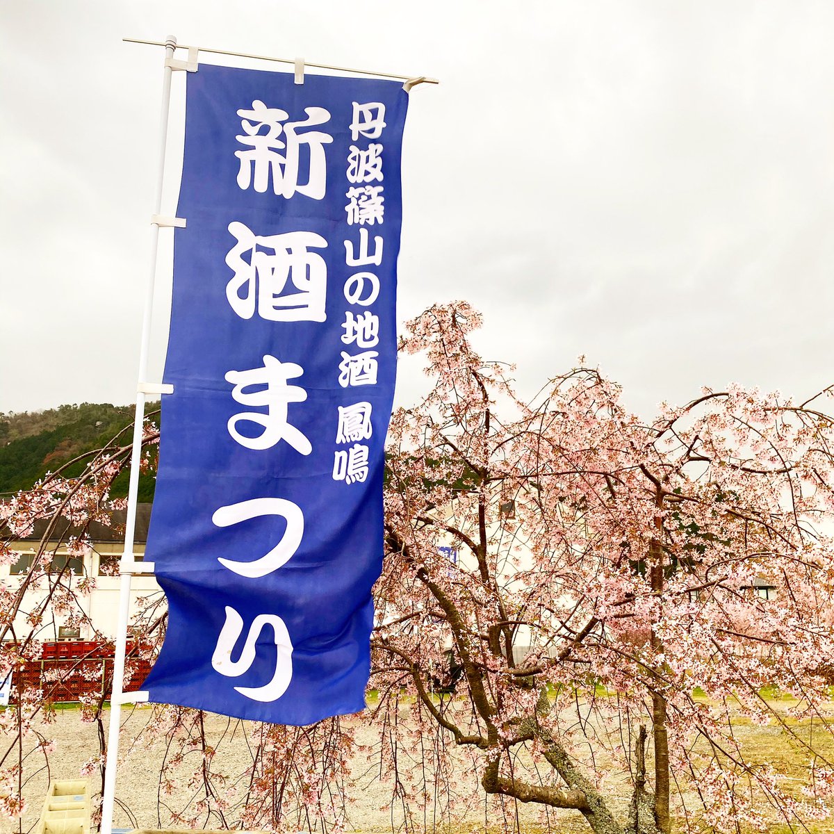 鳳鳴 Twitter Search Twitter 鳳鳴 Twitter Search Twitter