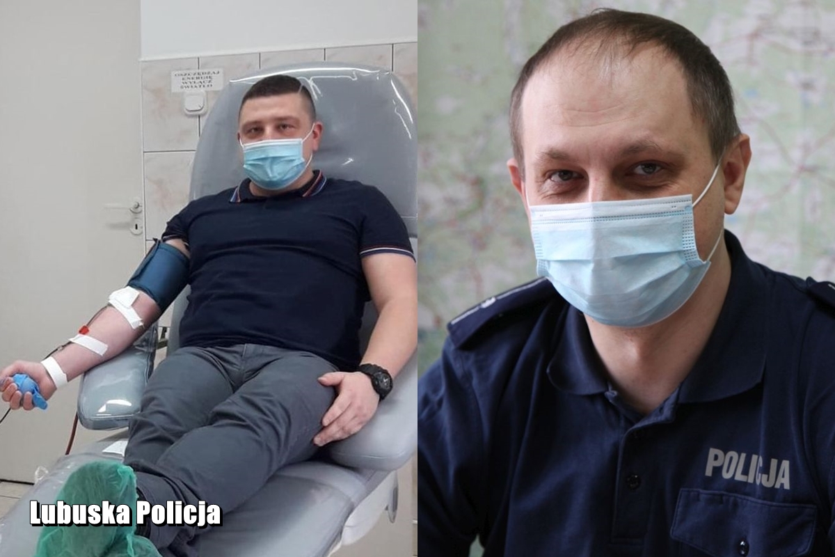 Lubuska_Policja's tweet photo. POLICYJNI OZDROWIEŃCY ODDALI OSOCZE
Dzięki #policjantom z Żar osocze trafi do najbardziej potrzebujących pacjentów. Funkcjonariusze, którzy przeszli Covid-19 zachęcają ozdrowieńców do pomocy innym osobom. Procedura jest bezbolesna i trwa około 40 minut.
https://t.co/ENfprKg0iC https://t.co/jXagQFKZHf