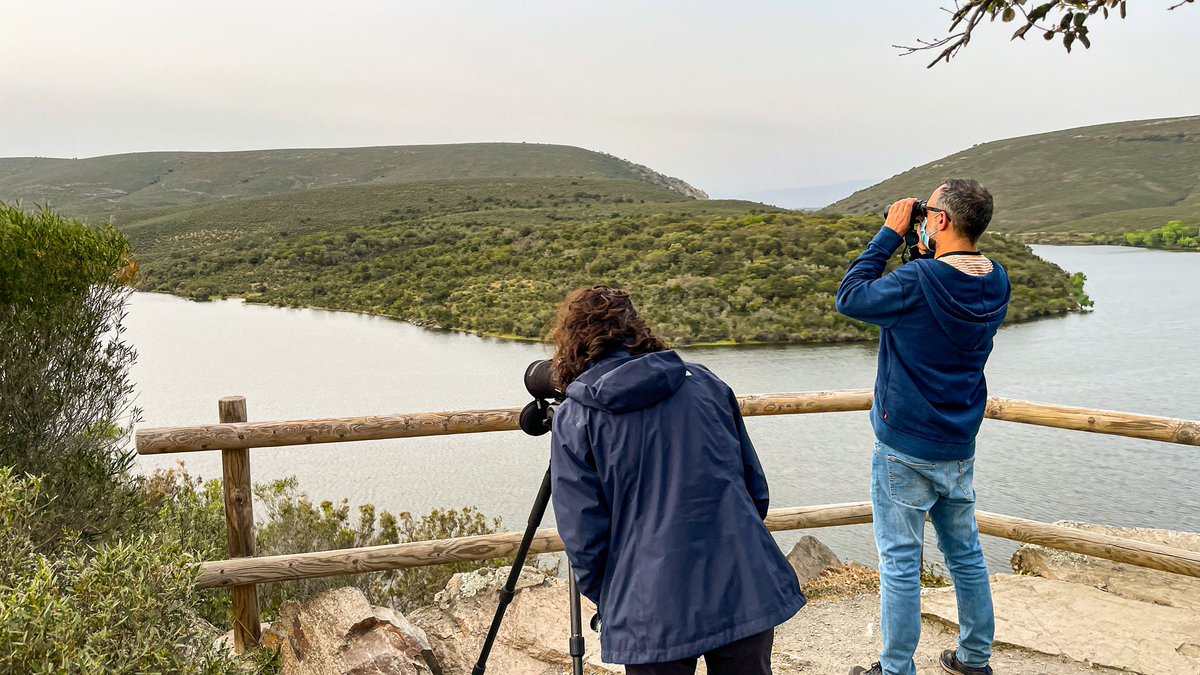 ViendoVerde's tweet photo. Continuamos las rutas 4x4 en Monfragüe #Birdwatching ¿Las has probado alguna vez? #ViendoVerde https://t.co/aT61I4yHuQ