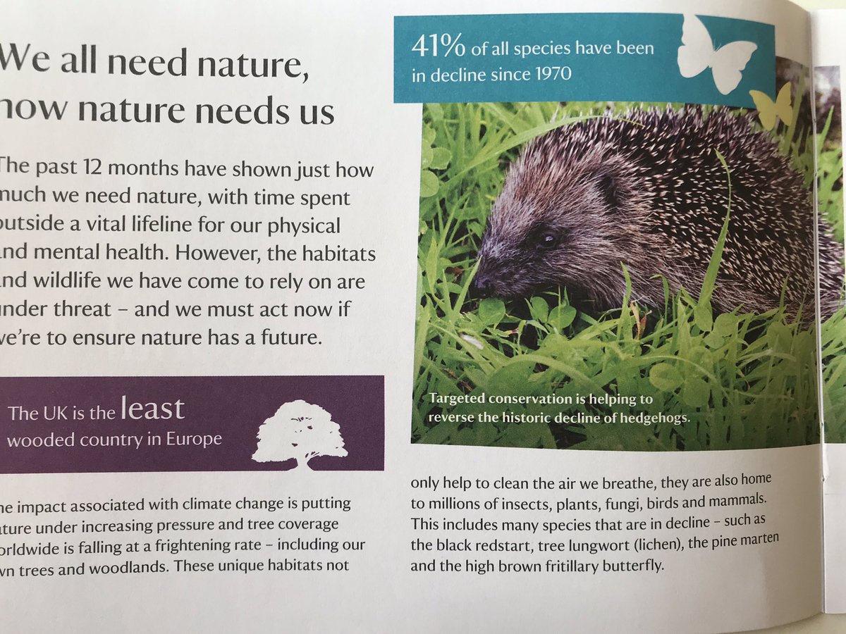 “The UK is the least wooded country in Europe”. 

Those words hit me in a <a href="/nationaltrust/">National Trust</a> communication this morning.