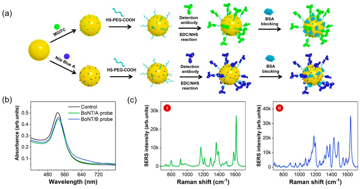 Sensors_MDPI's tweet image. SERS-Based Immunoassays for the Detection of Botulinum Toxins A and B Using Magnetic Beads
👉mdpi.com/1424-8220/19/1…

#surfaceenhancedRamanscattering (SERS)
#botulinumneurotoxins
#bioterrorism