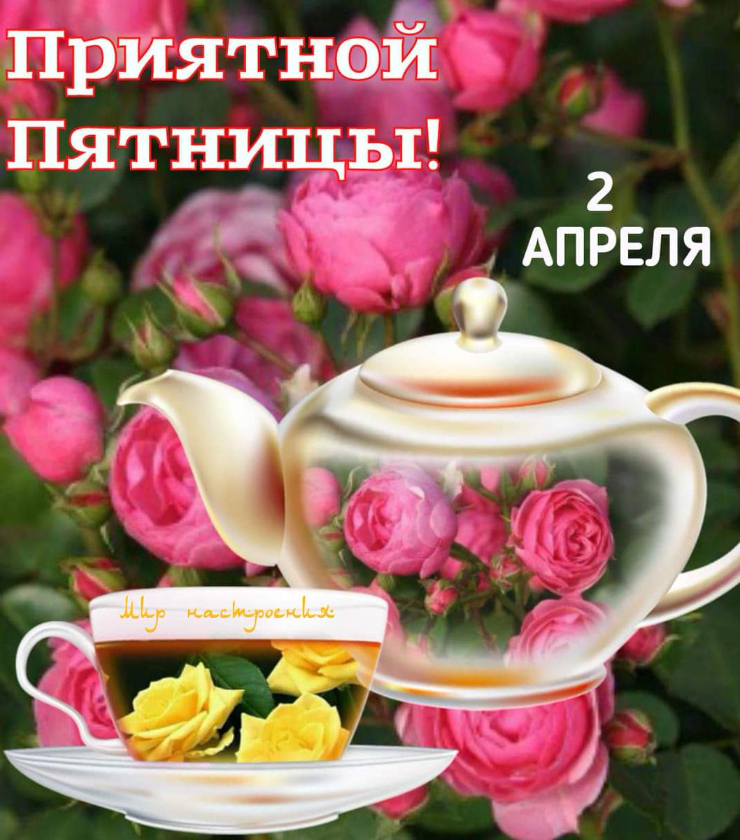 Доброе утро Светлана