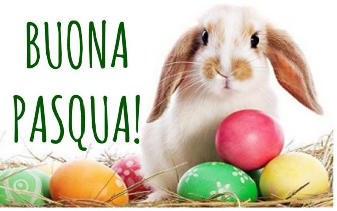 pab2000srl's tweet photo. Pab2000 ti augura una Serena e Buona pasqua,a te e alla tua famiglia.

#buonapasqua🐣 #happyeaster🐣 https://t.co/FFANNvSQ0z