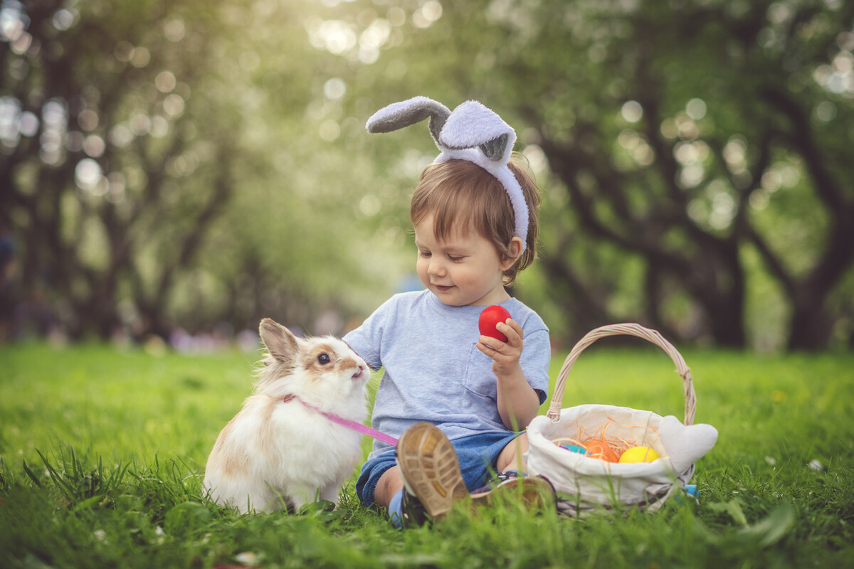 Rendac Son tweet media