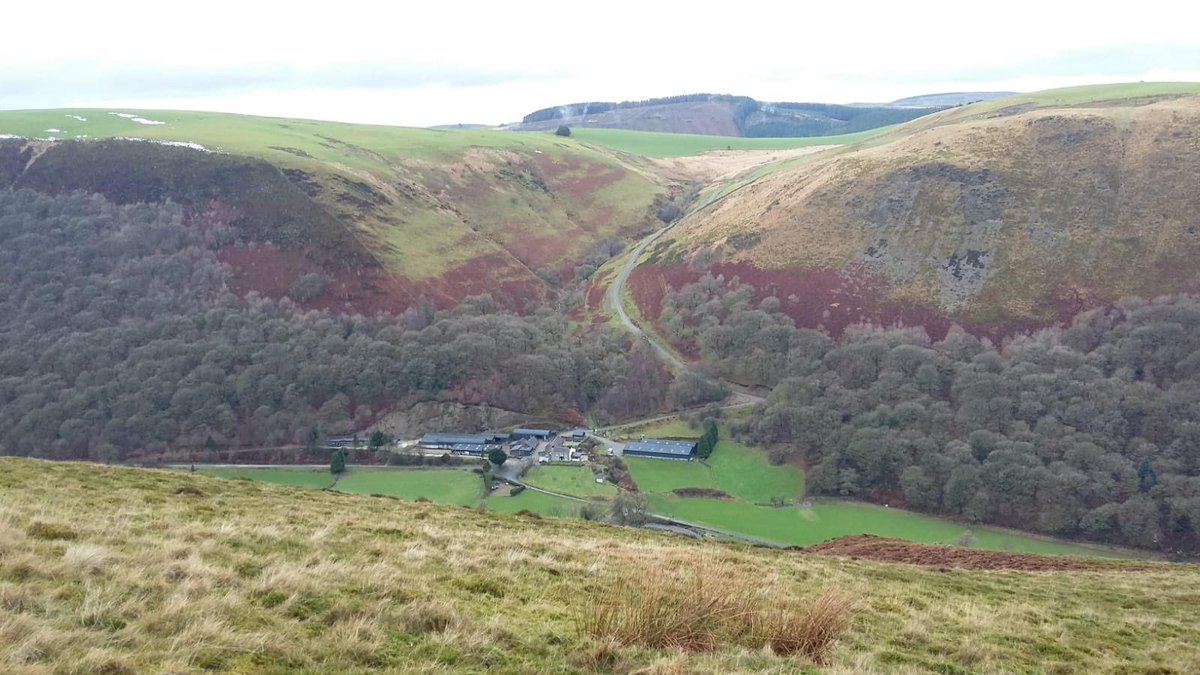 Rydym yn rhedeg 1,350 o famogiaid Cymraeg Tregaron, 40 o fuchod sugno cyfandirol a 40 bîff-llaeth. Rydym yn berchen ar 600 erw – mae 300 erw ohono yn gynhyrchiol, ac rydym yn rhentu fferm fynydd 320 erw. Mae’r tir yn codi o 650 i 1,250 troedfedd.

#DegawdFfermArddangos