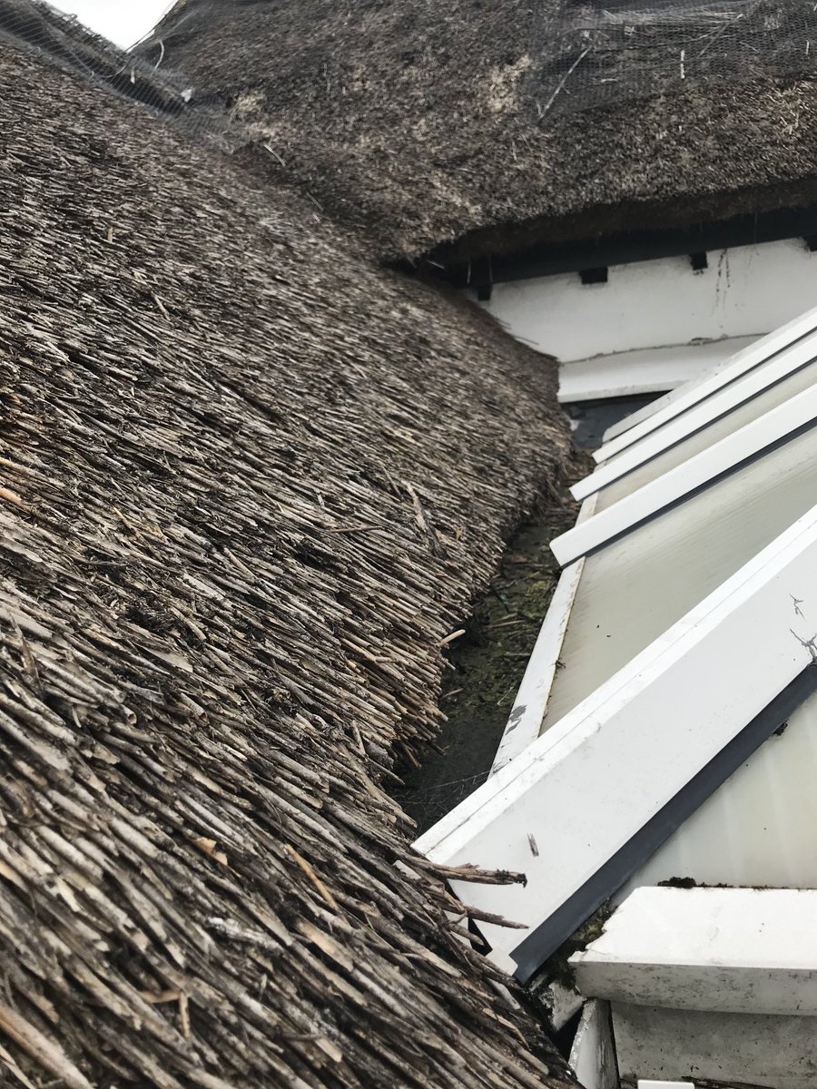 masterthatcher2's tweet photo. Builder says it’s the thatch which is leaking in this corner where conservatory meets the thatch. From a distance that #Flashband looks a bit suspect. We will investigate. #Thatching issues. https://t.co/5OlNVeugX7