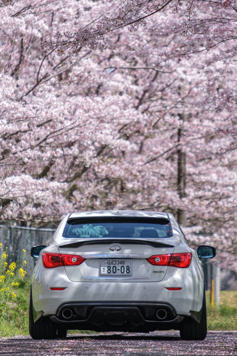 rex_v37's tweet photo. SKYLINE×🌸

3.4枚目縦なんでタップしてください。

 #v37
 #スカイライン
 #VOSSEN https://t.co/SbRtY7LpOt
