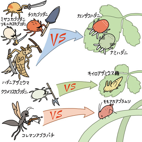 『ケンさん、イチゴの虫をこらしめる 「あまおう」栽培農家の挑戦!』
挿絵を描いています。
https://t.co/uYW4EMK0Xf

#国際子どもの本の日 #InternationalChildrensBookDay 