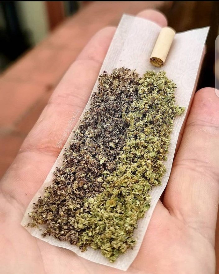 PappySamantha's tweet photo. #cannafest420 #countdown420 https://t.co/5mTVCO8sJO