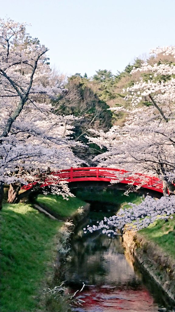 翠ケ丘公園 Twitter Search Twitter