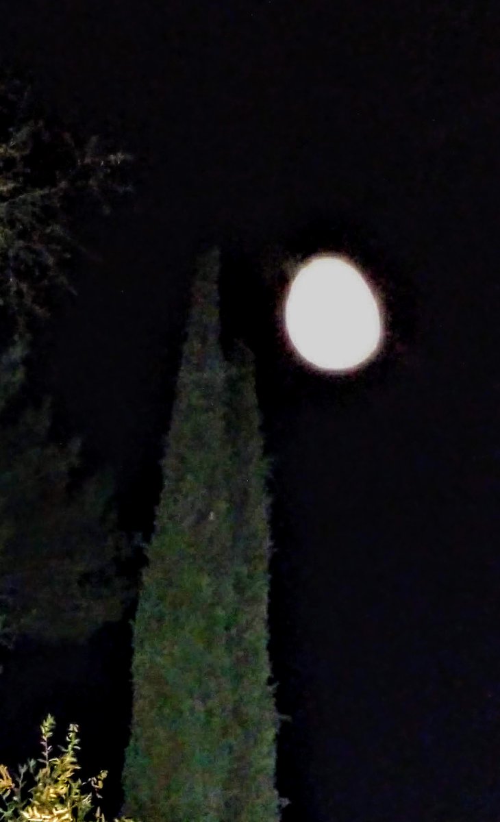 BrettButler1111's tweet image. We realize there are quite a few humans who scoff at the notion of 'orbs' in photography. This is one we saw with our own eyes, so posting it here. 

#DifferentLight
#WonderUnceasing