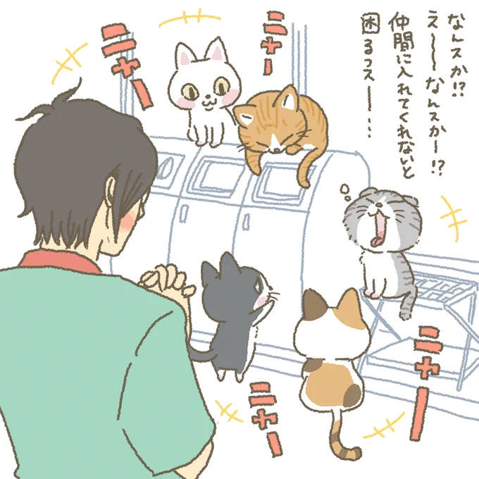 集会っすね!

#もちもち #お客様困ります #あくび 