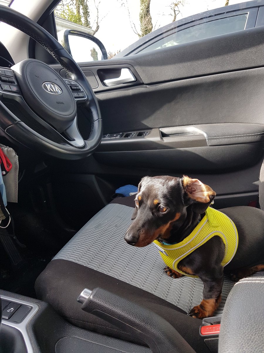 If it only 5km, what could go wrong?🤩