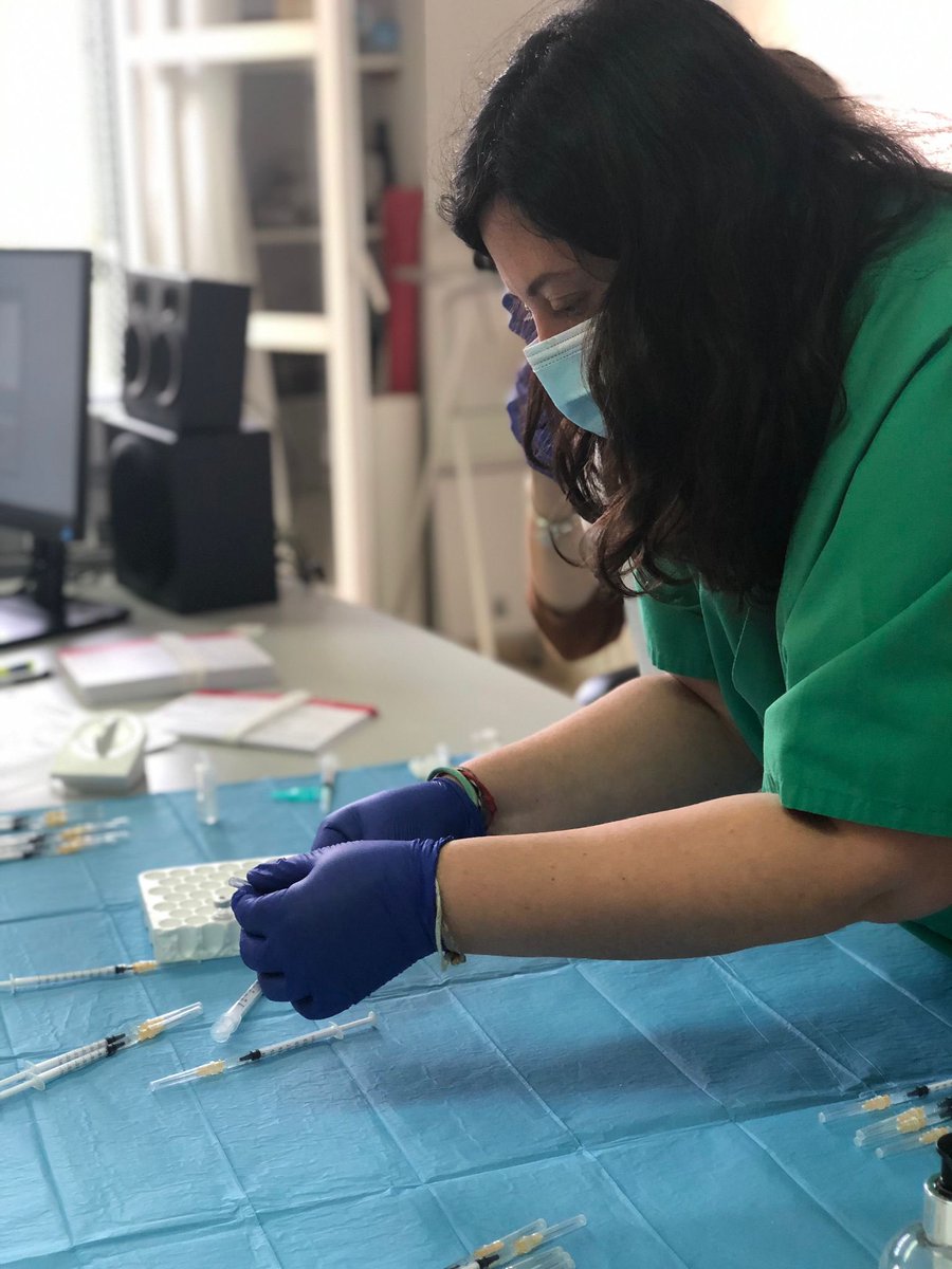 CSABennassar's tweet photo. Preparatius per a un nou dia de vacunació 💉🦠💉🦠
Seguim!! 🏥👵🏻👨🏻🦳
#VacunaContraElCovid #Covid_19 #infermeria #primeralinia #apdeprimera #apalteucostat #arquitectebennàssar https://t.co/q2gCyVajLy